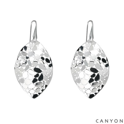 CANYON France Boucles d’oreilles Argent