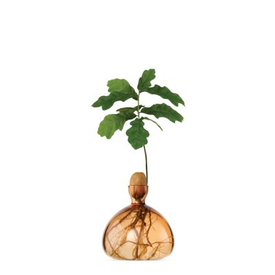 ILEX STUDIO - Vase à gland - Abricot