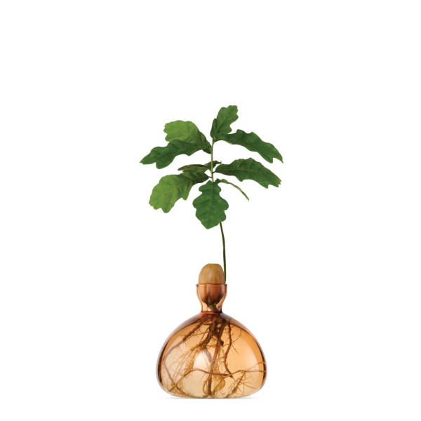 ILEX STUDIO - Vase à gland - Abricot