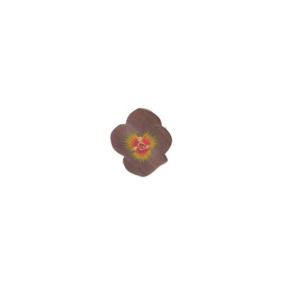 Broche Garance, Marque Franck Herval | Bijoux Totem