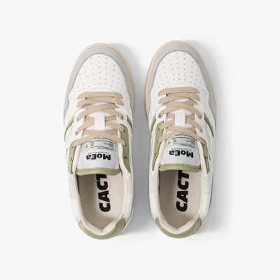 MOEA - Baskets GEN2 - Cactus White & Aloe