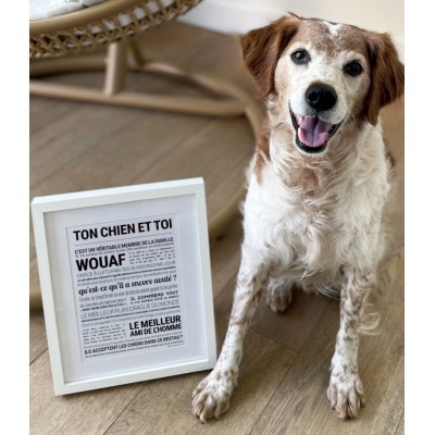 TOUT EST DIT Affiche Ton Chien et Toi.