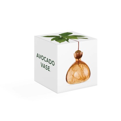 ILEX STUDIO - Vase à avocat - Abricot