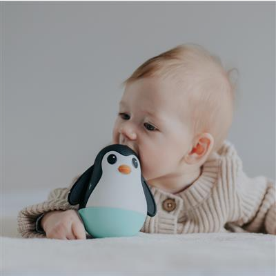 JELLYSTONE - Pinguin Wooble - Menthe
