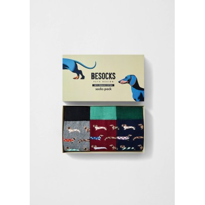 BESOCKS - Pack Chaussettes - Teckel