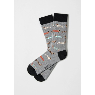 BESOCKS - Pack Chaussettes - Teckel