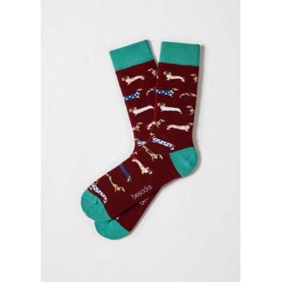 BESOCKS - Pack Chaussettes - Teckel