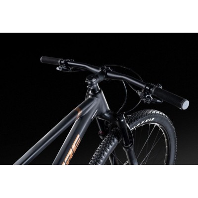 Lapierre Prorace 5.9 2025