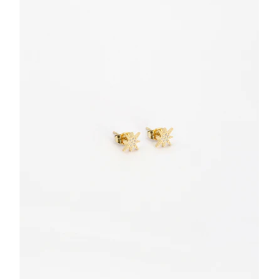 ZAG Bijoux Boucles d’oreilles Puces Isaac.