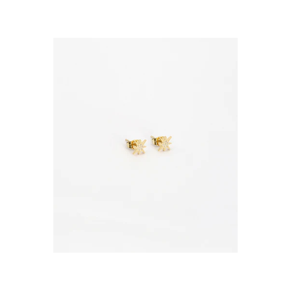 ZAG Bijoux Boucles d’oreilles Puces Isaac.