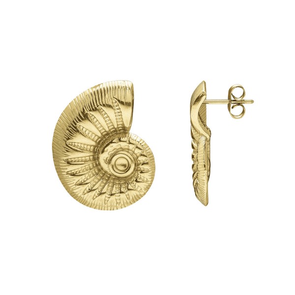 N°3 Boucles d’oreilles coquillage.