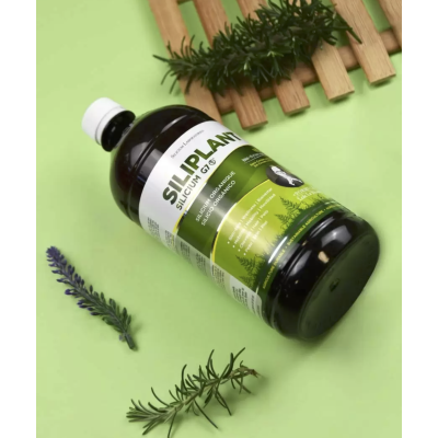Silicium G7 Siliplant dynamisé (ex Siliplant G5) Silicium G7 Siliplant dynamisé (ex Siliplant G5)