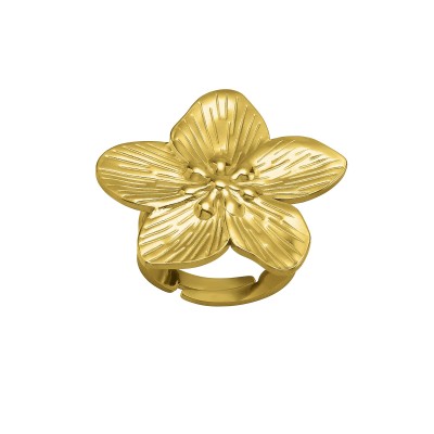 N°3 Bague.