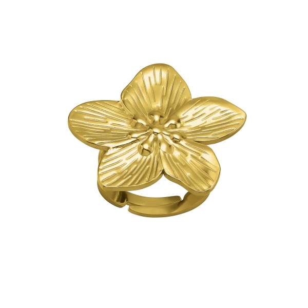 N°3 Bague.