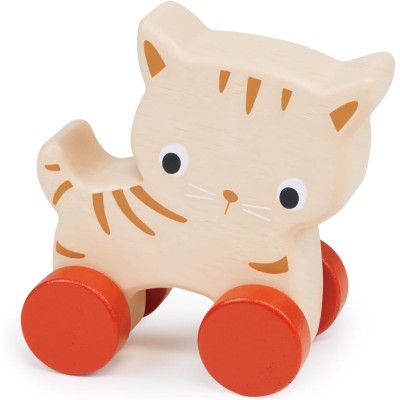 MENTARI - CHAT SUR ROUES