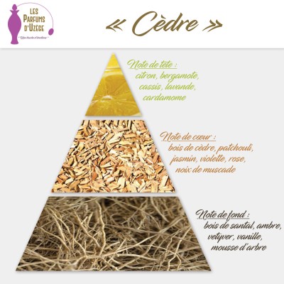 parfum d'uzege "cèdre" parfum d'uzege "cèdre"