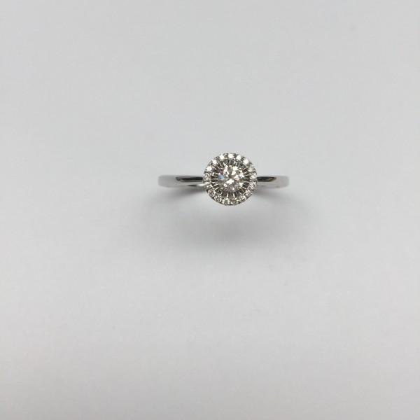 Bague Solitaire en or gris .